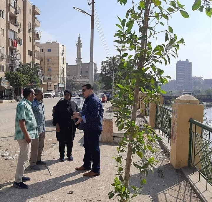 زراعة 510 شجرة على الطرق والشوارع وأمام المدارس بحى غرب سوهاج 19 - جريدة المساء