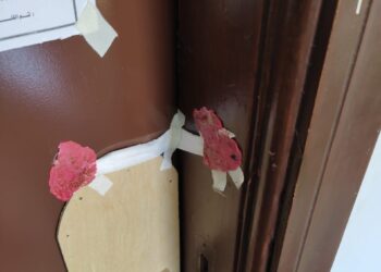 الرقابة الصحية و الأطباء وأطباء الأسنان بحثوا معايير اعتماد أعضاء المهن الطبية 19 - جريدة المساء