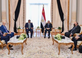 السيسي: هدفنا الأساسي تحقيق السلام والأمن للأشقاء في ليبيا 29 - جريدة المساء