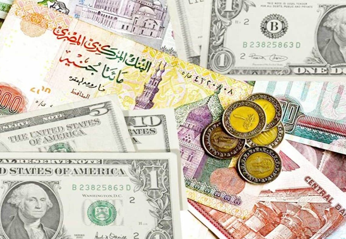 الدولار يحافظ على استقراره مقابل الجنيه في بداية التعاملات الأسبوعية 19 - جريدة المساء
