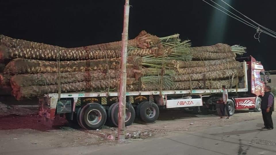 تركيب انترلوك وزراعة أعمدة إنارة جديدة .. فى دسوق 18 - جريدة المساء