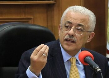 تعاون مصري فنلندي في مجال تطوير التعليم الفني 22 - جريدة المساء