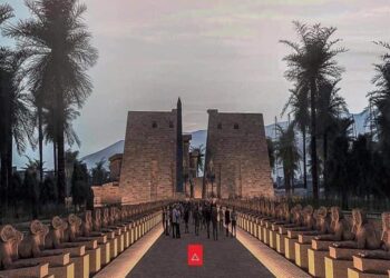 الرعاية الصحية :رفع الاستعداد الطبي لتامين احتفالات افتتاح طريق الكباش الأثري 23 - جريدة المساء