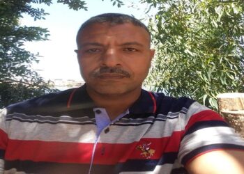 صواع العشق.. قصيدة للشاعر كمال قطب 17 - جريدة المساء