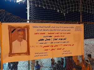 مركز شباب "الأوسط قمولا" بقنا ينظم دورة خماسية فى كرة القدم .. صور 19 - جريدة المساء