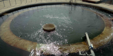 10 ملايين جنيه لمد وتدعيم شبكات مياه الشرب بسوهاج 2 - جريدة المساء 10 ملايين جنيه لمد وتدعيم شبكات مياه الشرب بسوهاج 1 - جريدة المساء