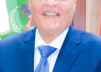 محافظ المنيا يهنئ الرئيس السيسي بمناسبة حلول العام الميلادي الجديد 31 - جريدة المساء