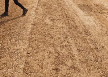 الانتهاء من تطوير محاور رئيسية بالقنطرة غرب بداية العام الجديد بالاسماعيلية 32 - جريدة المساء