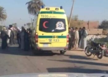 إصابة عامل بطلق ناري في قنا 17 - جريدة المساء