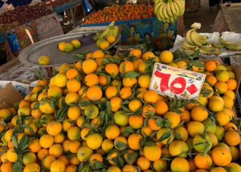 اسعار استرشادية للخضر والفاكهة باسواق الاسماعيلية 26 - جريدة المساء