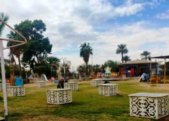 أسوان تستعد للاحتفال برأس السنة والعيد القومي للمحافظة 17 - جريدة المساء