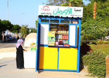 72 كشكا للأرامل والمطلقات وأصحاب الهمم باسوان تحت رعاية مديرية التضامن الاجتماعى 23 - جريدة المساء