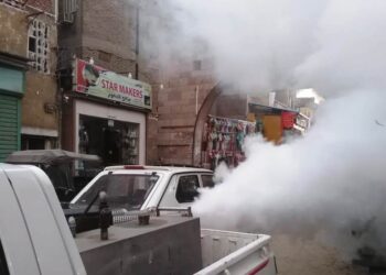 تكثيف حملات رش المبيدات لمواجهة ظاهرة الحشرات الطائرة باسوان 29 - جريدة المساء