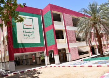 محافظ أسوان: التنسيق العرضى بين الجهات في تنفيذ مشروعات حياة كريمة 21 - جريدة المساء