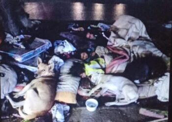 "التضامن" تنقذ أسرة "المعادي".. وتوفر لهم شقة سكنية 25 - جريدة المساء