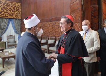 شيخ الأزهر: العالم لن يستقر باقتصاد السلاح 19 - جريدة المساء