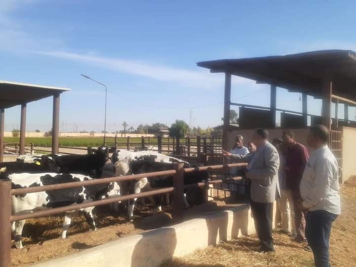 "الطيبى" يتابع سير العمل بالمجزر الآلى ومصنع الألبان ومحطة تسمين العجول .. بقنا 17 - جريدة المساء