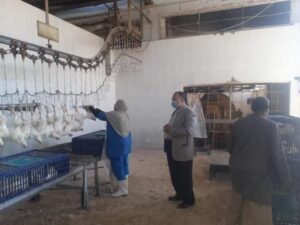 "الطيبى" يتابع سير العمل بالمجزر الآلى ومصنع الألبان ومحطة تسمين العجول .. بقنا 21 - جريدة المساء