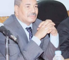 د.محمود خضارى يطالب بسرعة تشكيل المجالس المحلية للحفاظ على مكتسبات المبادرة الرئاسية "حياة كريمة" 25 - جريدة المساء