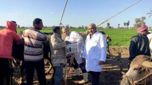 قافلة بيطرية بالمجان لـ" منشأة أبو عمر" بالشرقية 37 - جريدة المساء