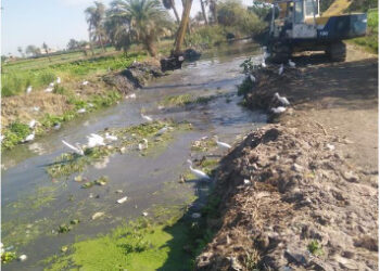 محافظ الفيوم: تطهير 81 مجرى مائي بطول 315 كيلومتر 35 - جريدة المساء