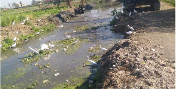 محافظ الفيوم: تطهير 81 مجرى مائي بطول 315 كيلومتر 1 - جريدة المساء