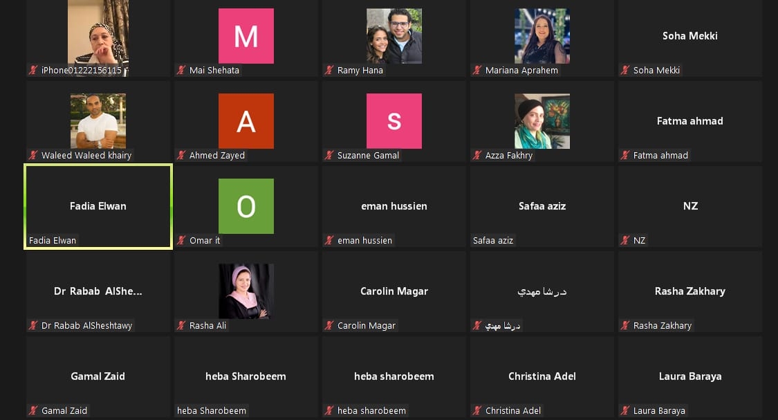 التعليم عن بعد والضغوط التى تواجهها النساء..فى ورشة عمل لقومى المرأة 19 - جريدة المساء