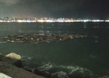 ازالة المخلفات من شاطئ "السلسلة" بالاسكندرية.. حفاظا على المظهر الجمالي 35 - جريدة المساء