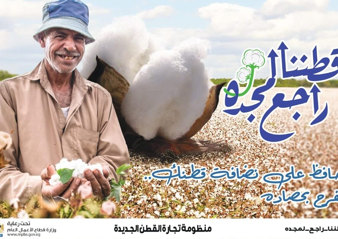 قطاع الأعمال: بيع 1.185 مليون قنطار في مزادات القطن بقيمة 6 مليارات جنيه 15 - جريدة المساء قطاع الأعمال: بيع 1.185 مليون قنطار في مزادات القطن بقيمة 6 مليارات جنيه 14 - جريدة المساء