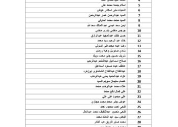 سعفان: تحويل 1.3 مليون جنيه مستحقات العمالة المغادرة للأردن 30 - جريدة المساء