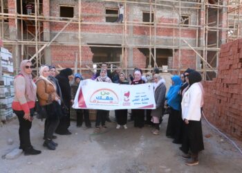 أعضاء حزب الوفد بسوهاج يتفقدون مشروعات "حياة كريمة" بقرى المراغة 21 - جريدة المساء