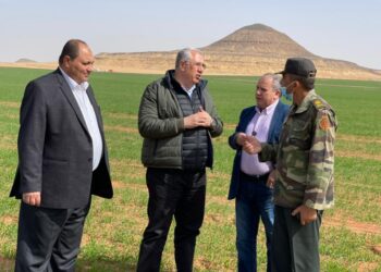 القصير فى توشكي : نشر وزراعه الأصناف عالية الإنتاجية وإنشاء وحدات لإنتاج الكمبوست 27 - جريدة المساء
