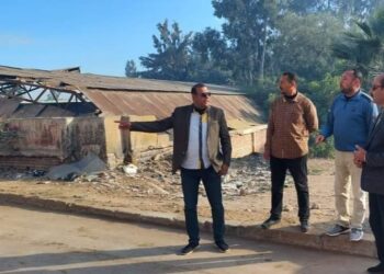 حملة نظافة لرفع الأتربة بمداخل دسوق 35 - جريدة المساء