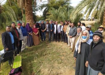 "وقاية النباتات": حملات إرشادية لمكافحة سوسة النخيل الحمراء 23 - جريدة المساء