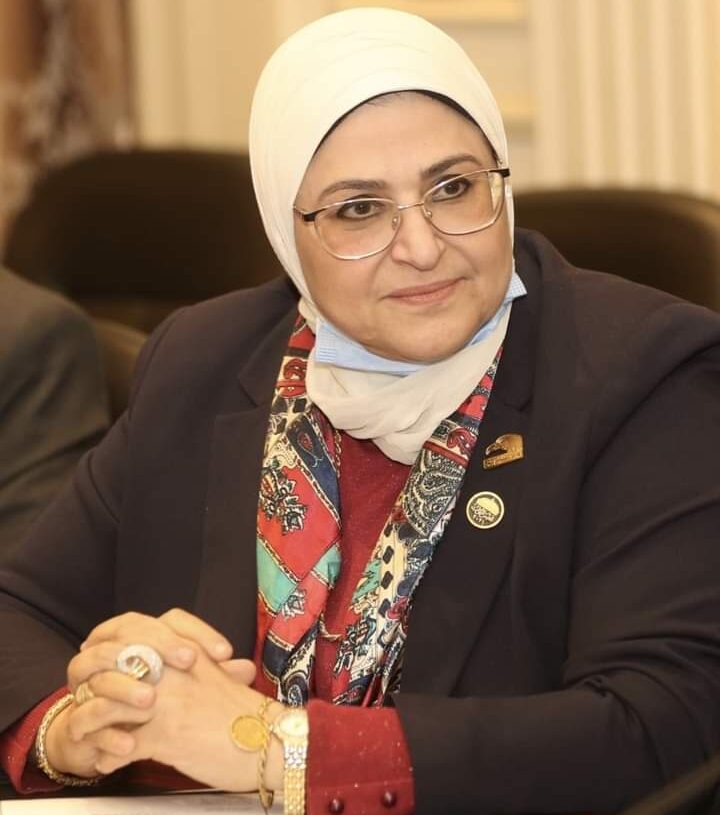 الدكتورة هناء سرور عضو النواب تتقدم بطلب إحاطة لتثبيت عمال النظافة 17 - جريدة المساء