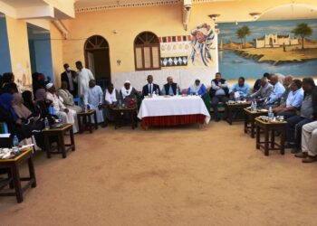 محافظ أسوان : قرب تشغيل محطة مياه الشرب بطاقة 2000 م3 / يومياً بقرية غرب سهيل 33 - جريدة المساء