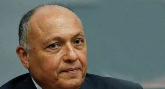 شكرى يعقد جلسة مباحثات مع نظيره السعودى بمقر وزارة الخارجية 19 - جريدة المساء