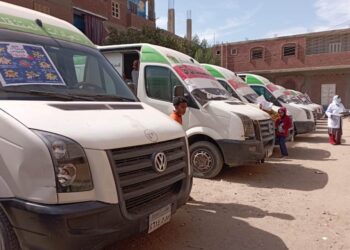 محافظ أسوان يتابع فعاليات القافلة الطبية بقرية الشطب بدراو وقرية وادى عبادى 2 بإدفو 21 - جريدة المساء