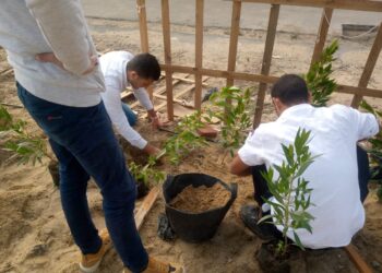 انطلاق معسكر العمل البيئي لجوالي وجوالات جامعة كفر الشيخ 24 - جريدة المساء