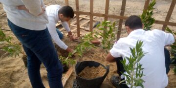 انطلاق معسكر العمل البيئي لجوالي وجوالات جامعة كفر الشيخ 1 - جريدة المساء