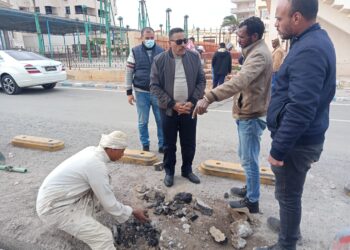 محافظ مطروح يتابع مشروع التحول الرقمى بمدينة مرسى مطروح 34 - جريدة المساء