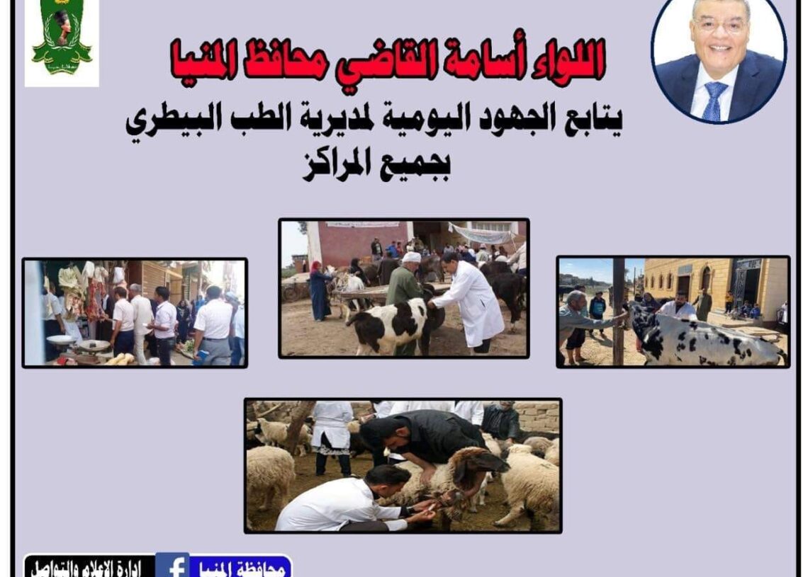 بيطري المنيا يحرر 27 محضرا لمحلات جزارة مخالفة 16 - جريدة المساء