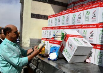 محافظ أسوان يؤكد على الدور المتميز للمجتمع المدنى بإعتباره الشريك الأساسى 21 - جريدة المساء