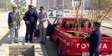 زراعة 70 شجرة بشوارع ساقلتة وحي الكوثر 2 - جريدة المساء زراعة 70 شجرة بشوارع ساقلتة وحي الكوثر 1 - جريدة المساء