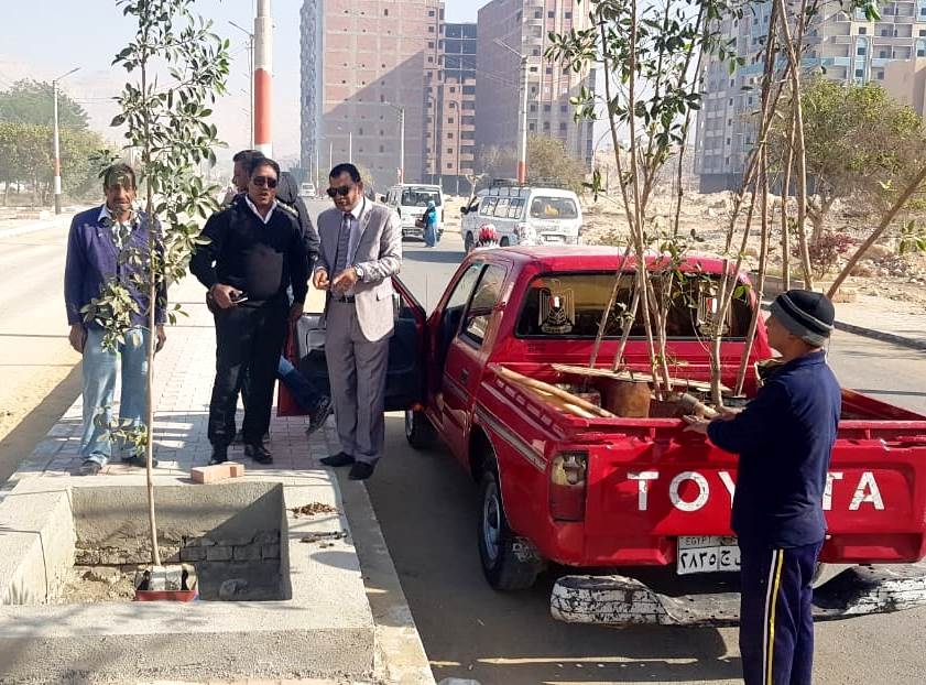 زراعة 70 شجرة بشوارع ساقلتة وحي الكوثر 18 - جريدة المساء زراعة 70 شجرة بشوارع ساقلتة وحي الكوثر 17 - جريدة المساء