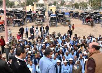 محافظ أسوان لجنة مختصة لفرز وأختيار أفضل عربات الحنطور للعمل ضمن البرامج السياحية 20 - جريدة المساء