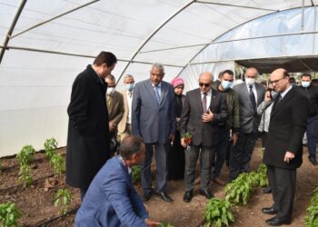 افتتاح مجمع صوب الخضر والفاكهة بكلية الزراعة بأسيوط 19 - جريدة المساء