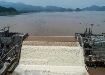 "شراقي": بيان آبي أحمد حول سد النهضة عودة لصوت العقل وتغير في لغة التعنت والتصريحات المستفزة 19 - جريدة المساء