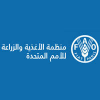 انطلاق الدورة 36 لمؤتمر منظمة الأغذية والزراعة الإقليمي الأسبوع المقبل 31 - جريدة المساء