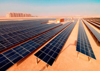 شهادة ميلاد جديدة لصعيد مصر 23 - جريدة المساء